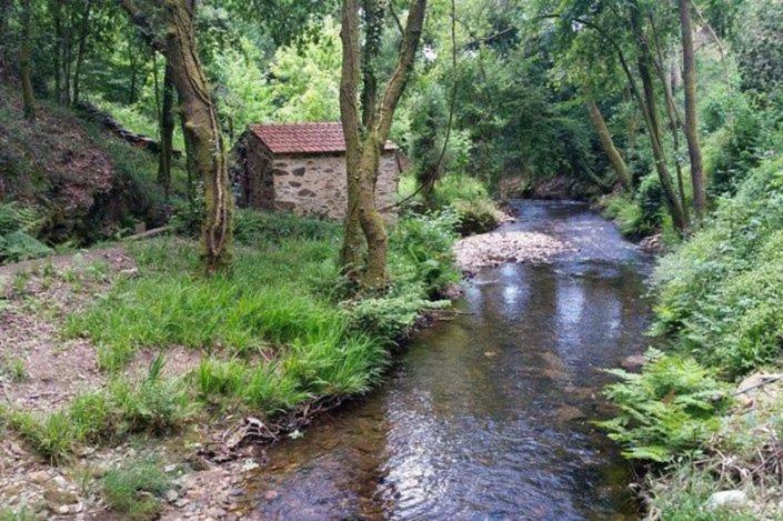 Paradise Property,Ideal Para Ferias Ou Lua De Mel Albergaria-a-Velha Εξωτερικό φωτογραφία