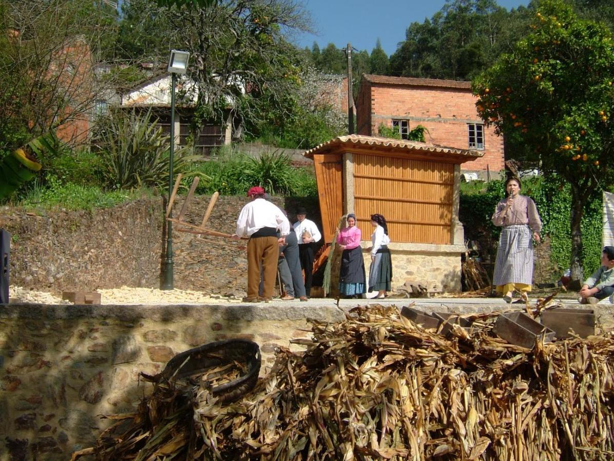 Paradise Property,Ideal Para Ferias Ou Lua De Mel Albergaria-a-Velha Εξωτερικό φωτογραφία