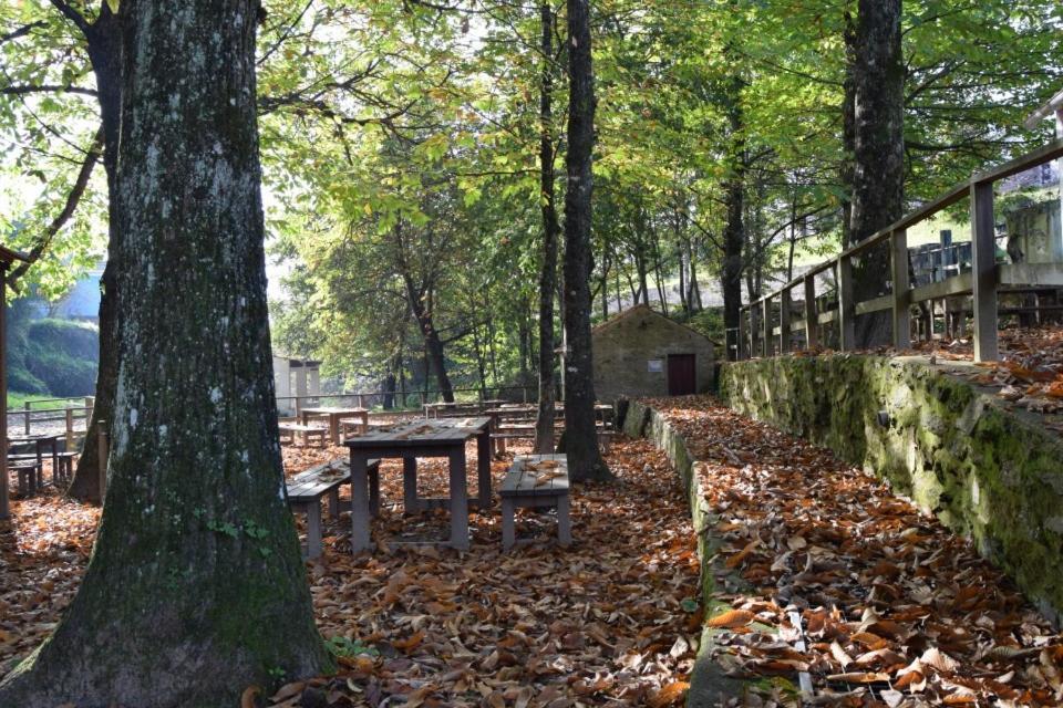 Paradise Property,Ideal Para Ferias Ou Lua De Mel Albergaria-a-Velha Εξωτερικό φωτογραφία